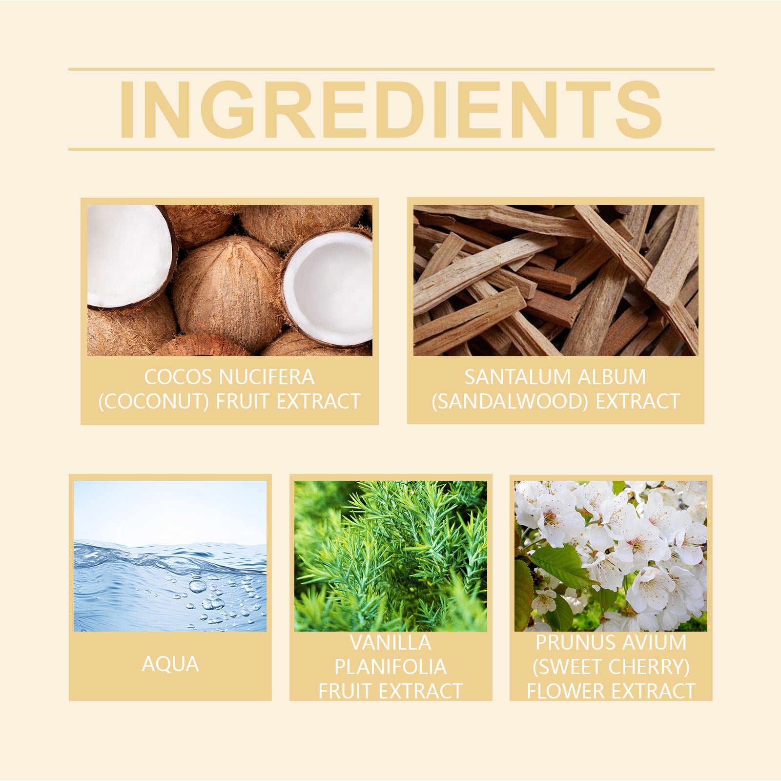 Refreshing Women’s Body Spray – Vanilla Coconut with Floral Fruit Notes - La Charlottes