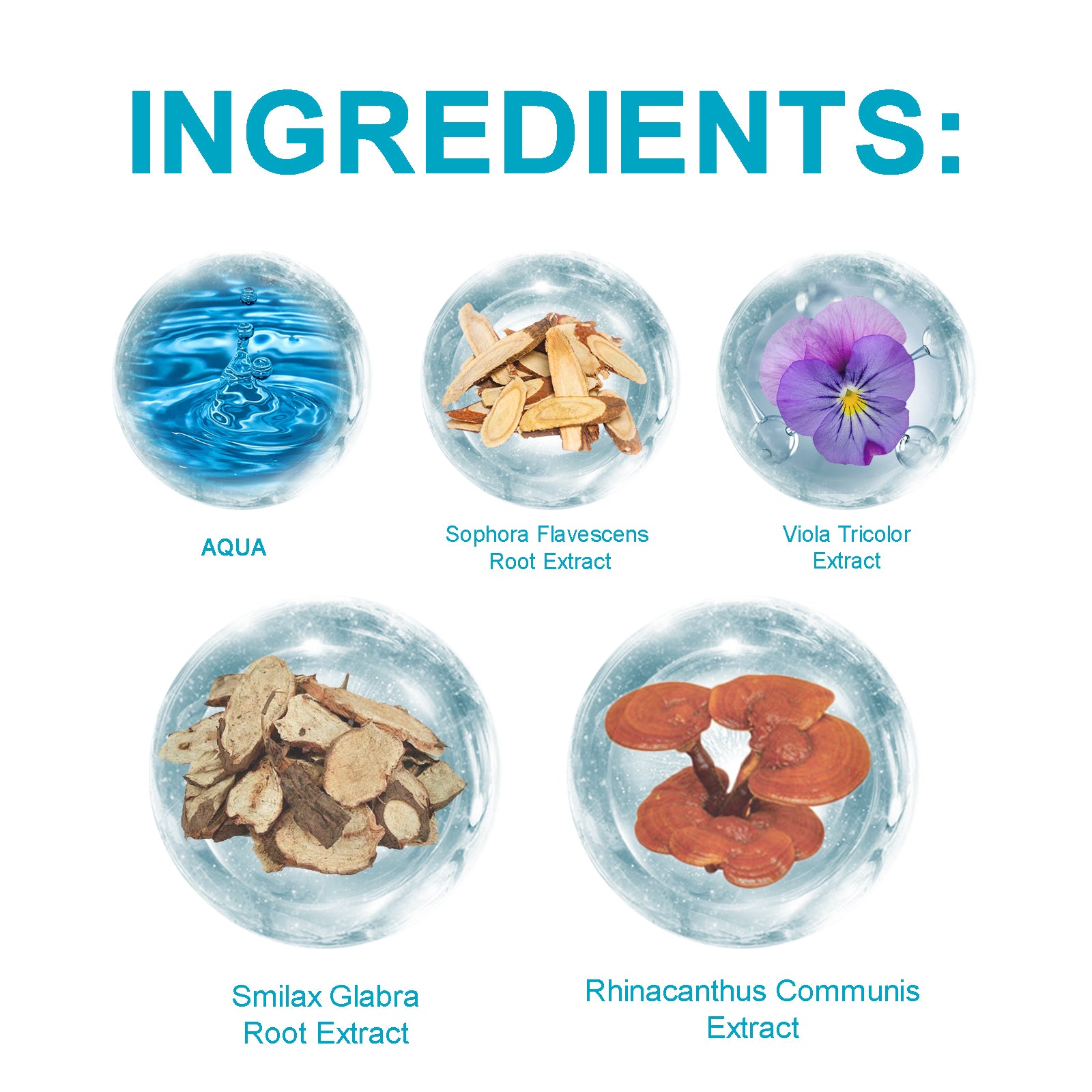 Hoegoa Dry itchy & Dandruff Shampoo Type: Solid shampoo - La Charlottes